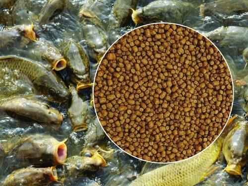 IMC Fish Feed